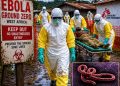 Borno sets up team to tackle suspected Ebola cases – News Agency of Nigeria.