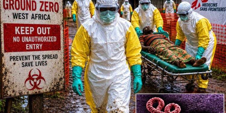 Borno sets up team to tackle suspected Ebola cases – News Agency of Nigeria.
